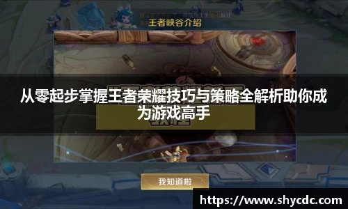 从零起步掌握王者荣耀技巧与策略全解析助你成为游戏高手