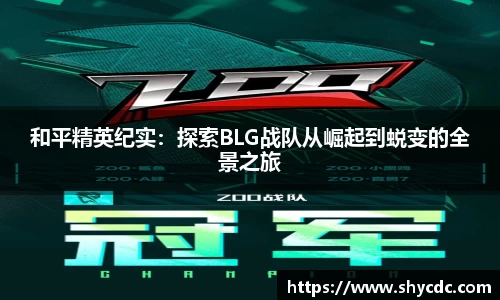 三亿体育平台