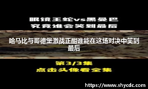 三亿体育平台