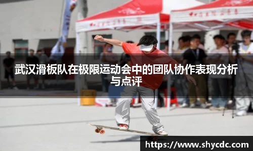 3亿体育官网